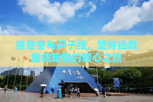 徐冬冬与尹子维，坚持拯救重病宠物的暖心之旅