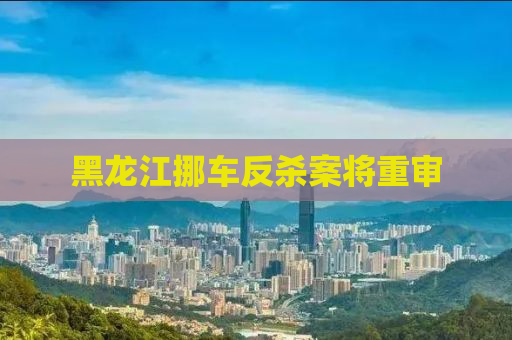 黑龙江挪车反杀案将重审