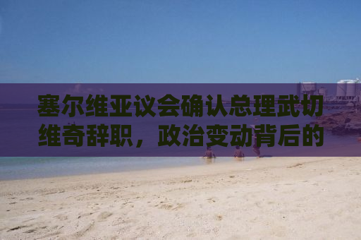 塞尔维亚议会确认总理武切维奇辞职，政治变动背后的深度解析