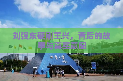 刘强东硬刚王兴，背后的故事与真实意图