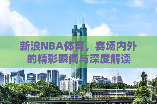 新浪NBA体育，赛场内外的精彩瞬间与深度解读