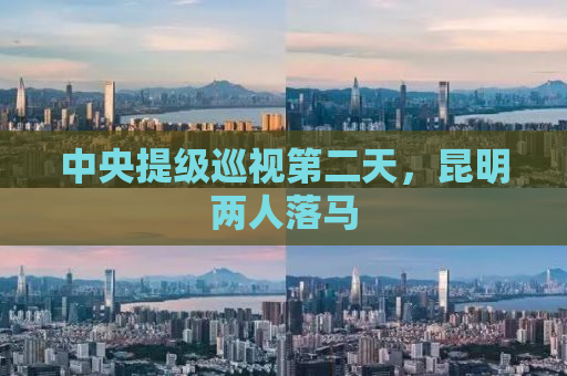中央提级巡视第二天，昆明两人落马