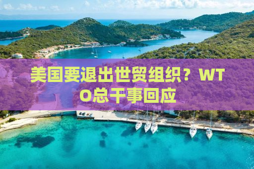 美国要退出世贸组织？WTO总干事回应