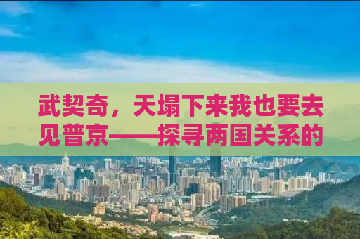武契奇，天塌下来我也要去见普京——探寻两国关系的微妙变化与背后的故事