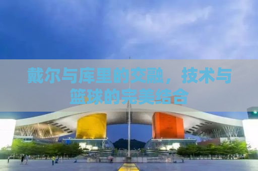 戴尔与库里的交融，技术与篮球的完美结合