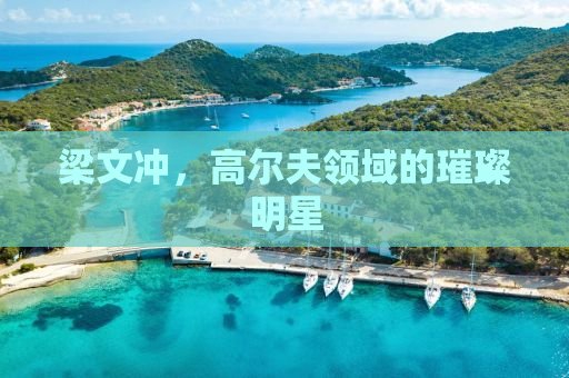 梁文冲，高尔夫领域的璀璨明星