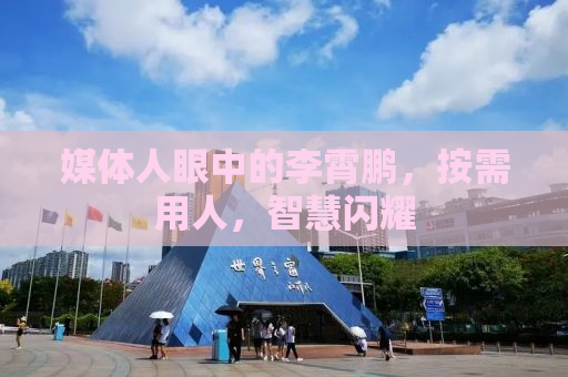 媒体人眼中的李霄鹏，按需用人，智慧闪耀