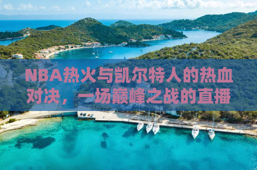 NBA热火与凯尔特人的热血对决，一场巅峰之战的直播纪实