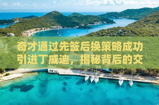 奇才通过先签后换策略成功引进丁威迪，揭秘背后的交易逻辑与未来展望