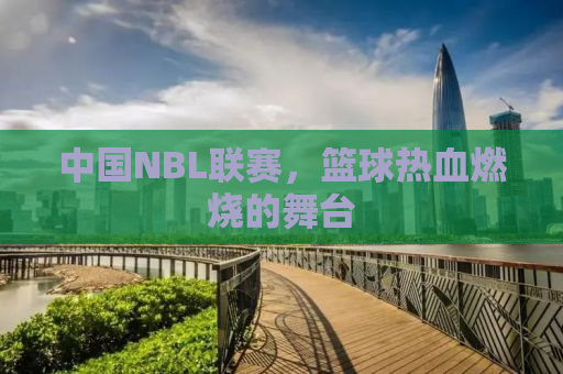 中国NBL联赛，篮球热血燃烧的舞台