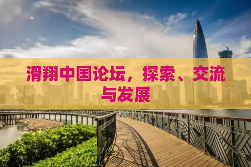 滑翔中国论坛，探索、交流与发展