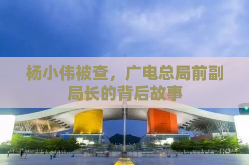 杨小伟被查，广电总局前副局长的背后故事