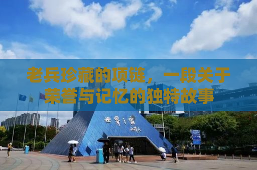 老兵珍藏的项链，一段关于荣誉与记忆的独特故事