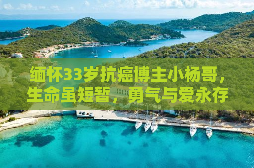缅怀33岁抗癌博主小杨哥，生命虽短暂，勇气与爱永存