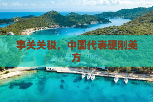 事关关税，中国代表硬刚美方