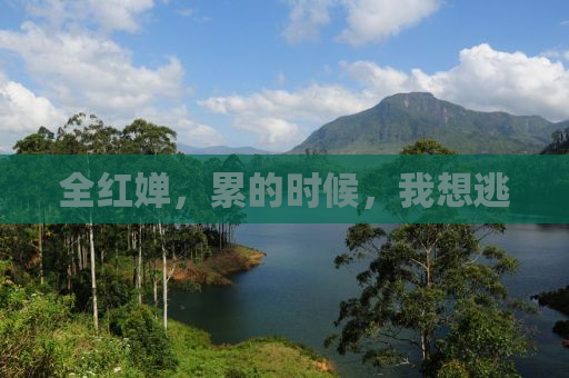 全红婵，累的时候，我想逃