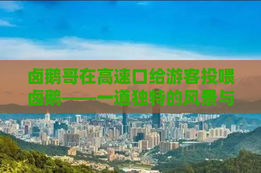 卤鹅哥在高速口给游客投喂卤鹅——一道独特的风景与人间烟火