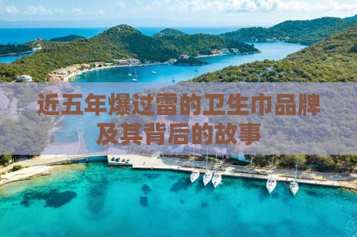 近五年爆过雷的卫生巾品牌及其背后的故事